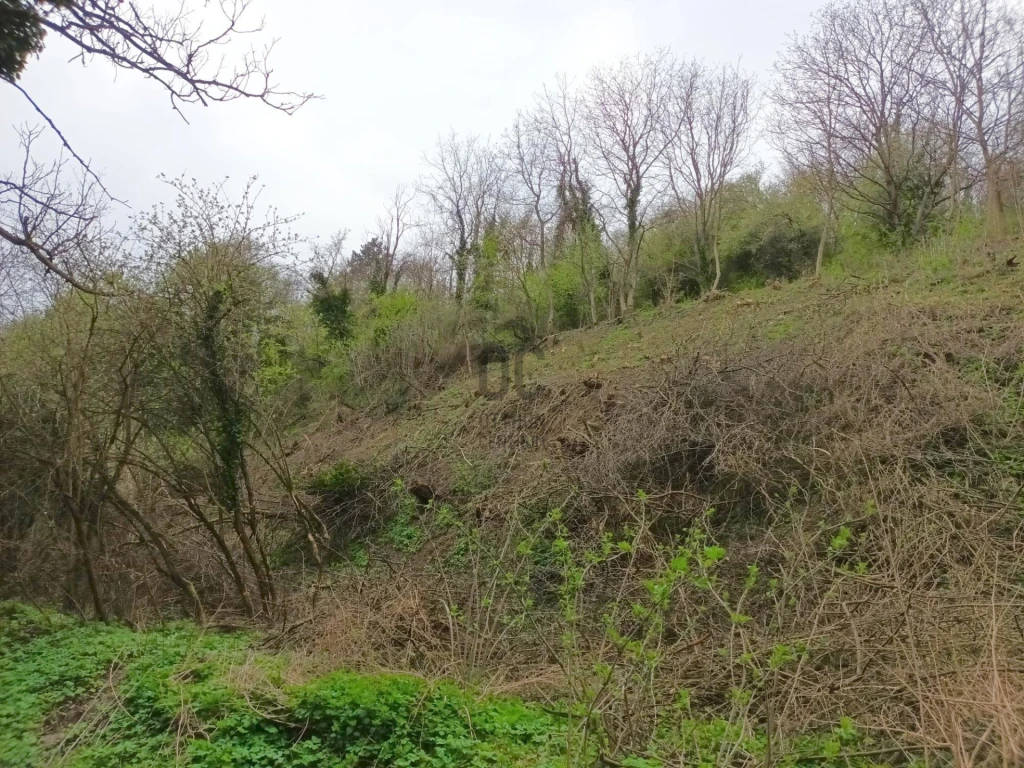 Eladó külterületi telek, Zalaszentgrót, Aranyod