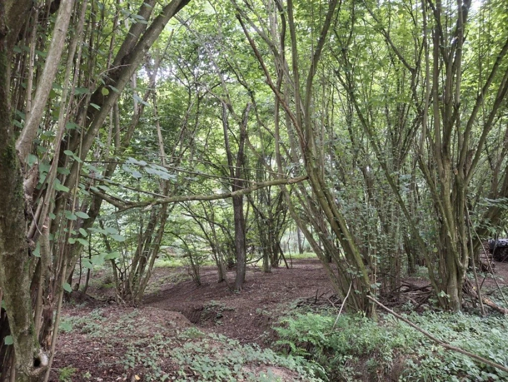 Eladó építési telek, Gosztola, Gosztola
