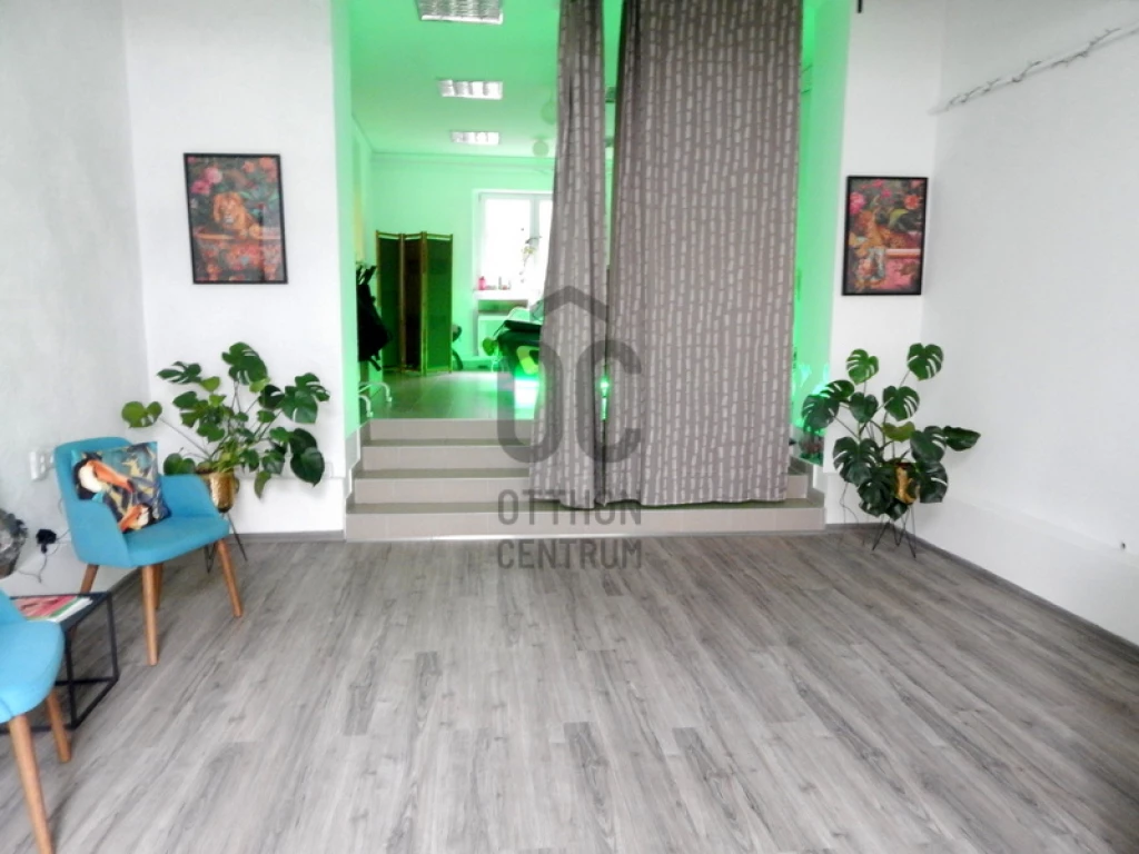 Kiadó egyéb kereskedelmi-ipari, Zalaegerszeg, Belváros