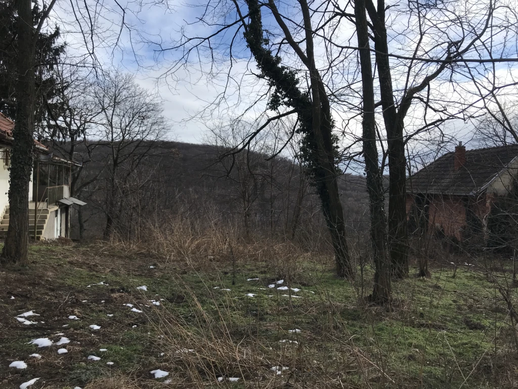 Eladó külterületi telek, Zalaegerszeg, Botfa