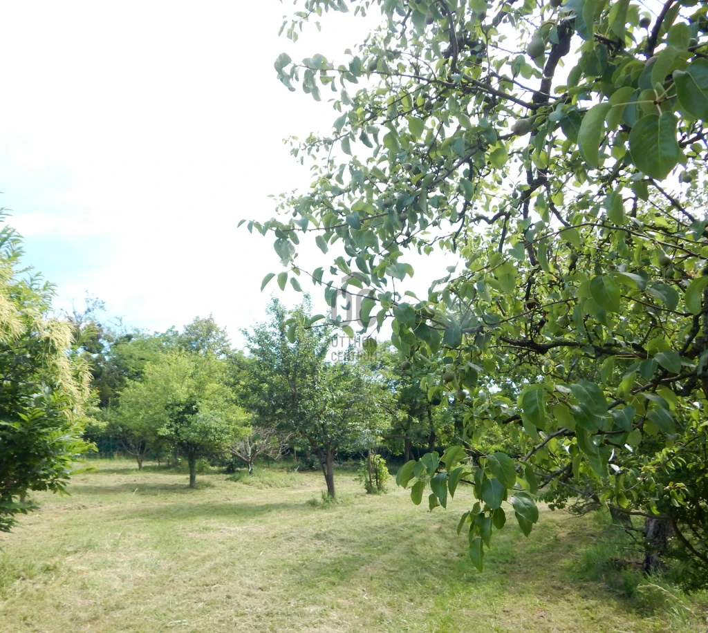 Eladó építési telek, Zalaegerszeg, Szenterzsébethegy