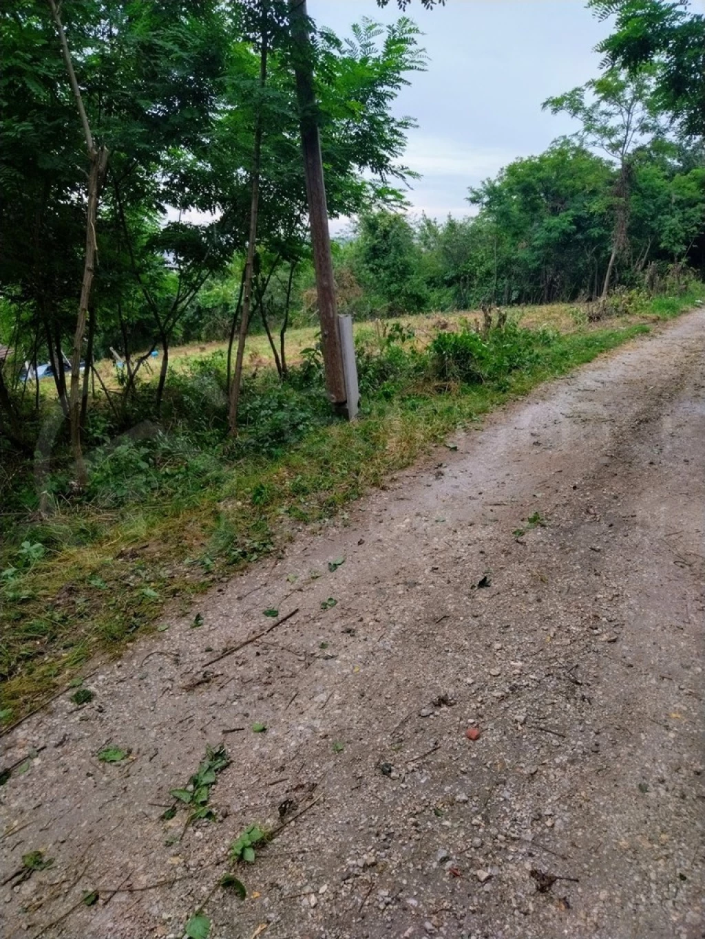 Miskolcon Győri kapu elején panorámás telek eladó!