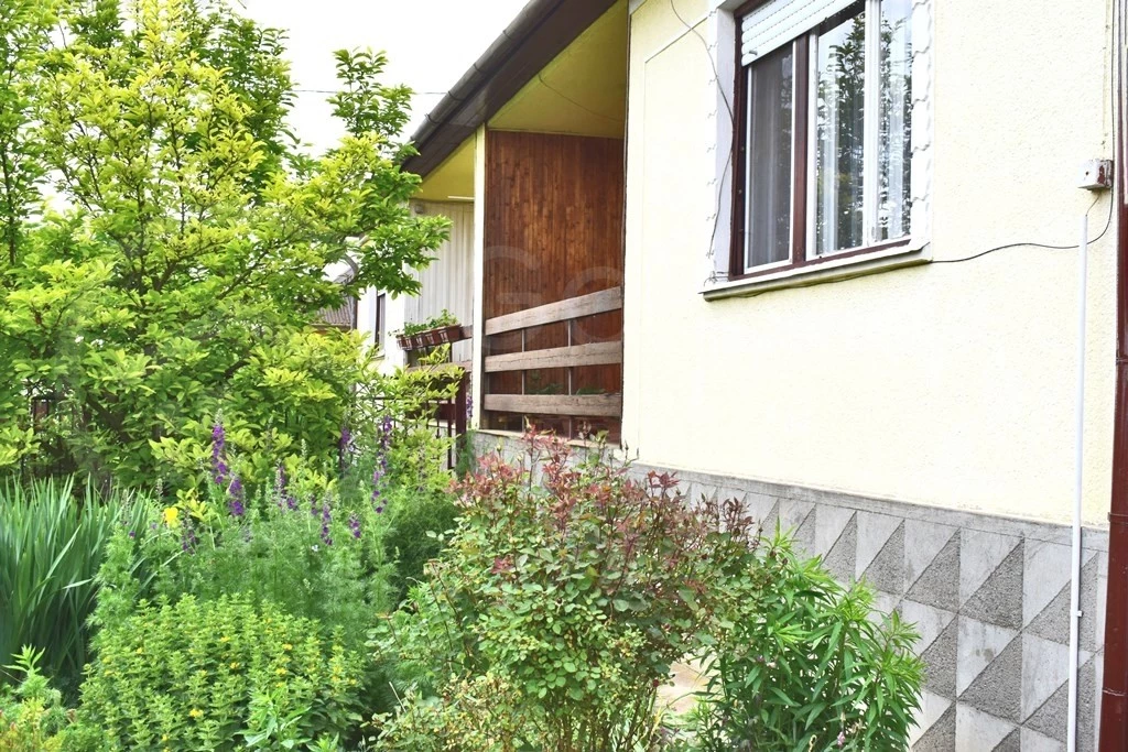 Tiszalúc csendes utcájában, összközműves, 4 szoba +nappalis, rendszeresen karbantartott, családi ház, garázzsal, gazdasági épülettel eladó!