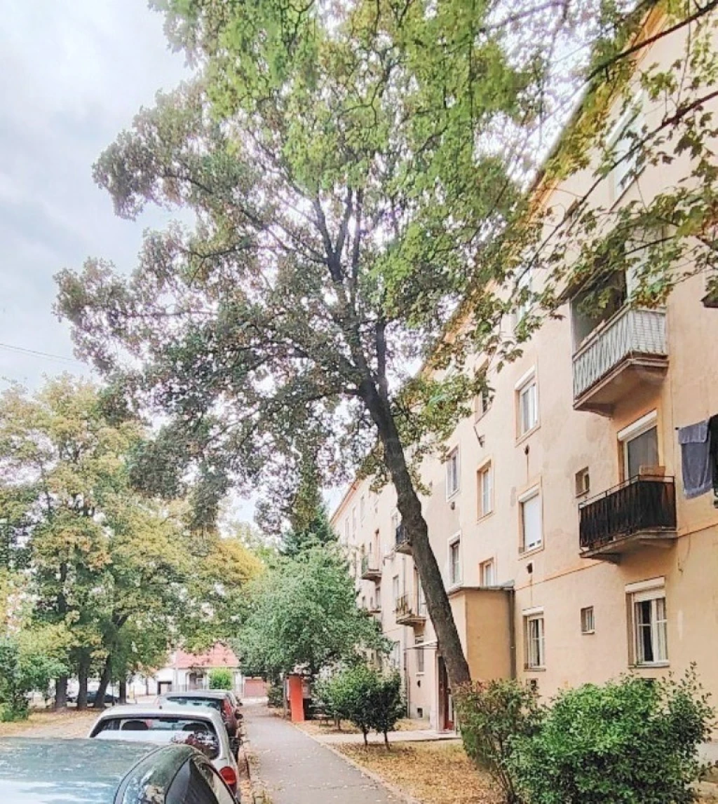 Eladó 1. emeleti, 2 szobás, erkélyes lakás Miskolcon, az Észak-Kiliánban!