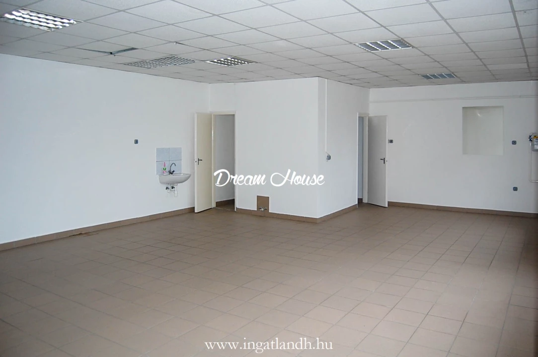 Kiadó üzlet, Nyíregyháza