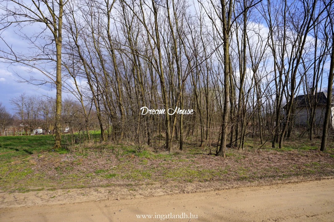 Eladó külterületi telek, Nyíregyháza