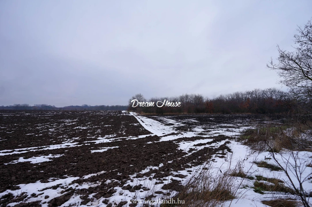 For sale periphery plot, Nyíregyháza