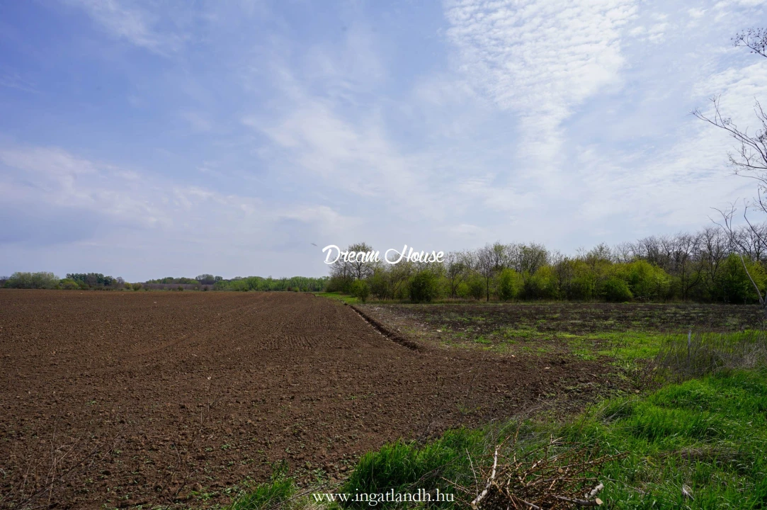 c3-1-name c2-84-name, Nyíregyháza