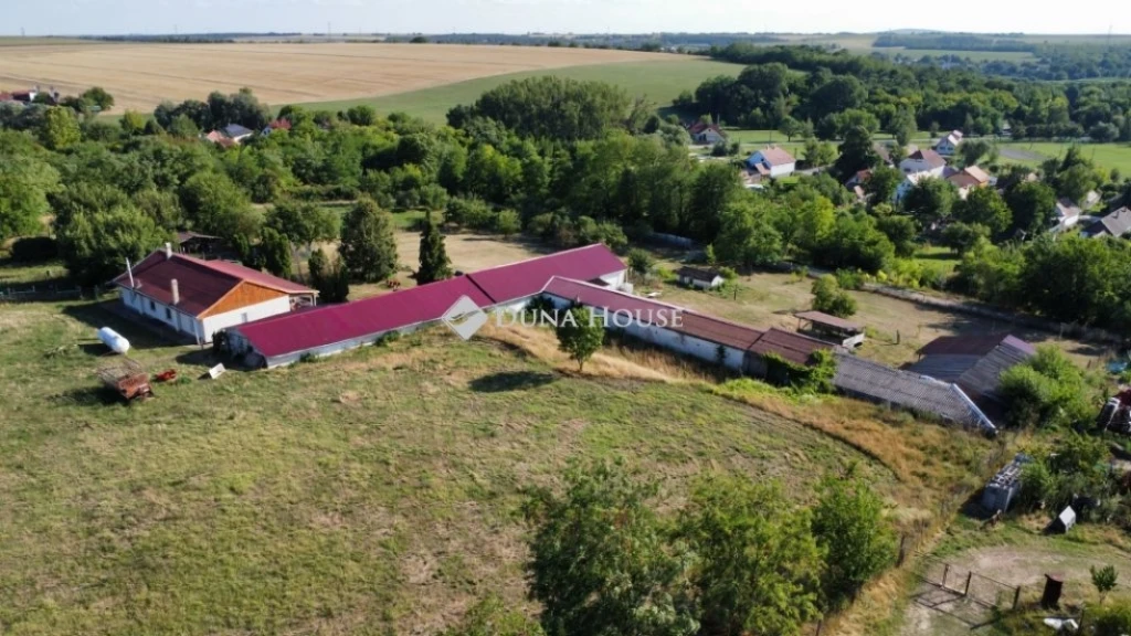 c3-1-name c2-55-name, Gyúró