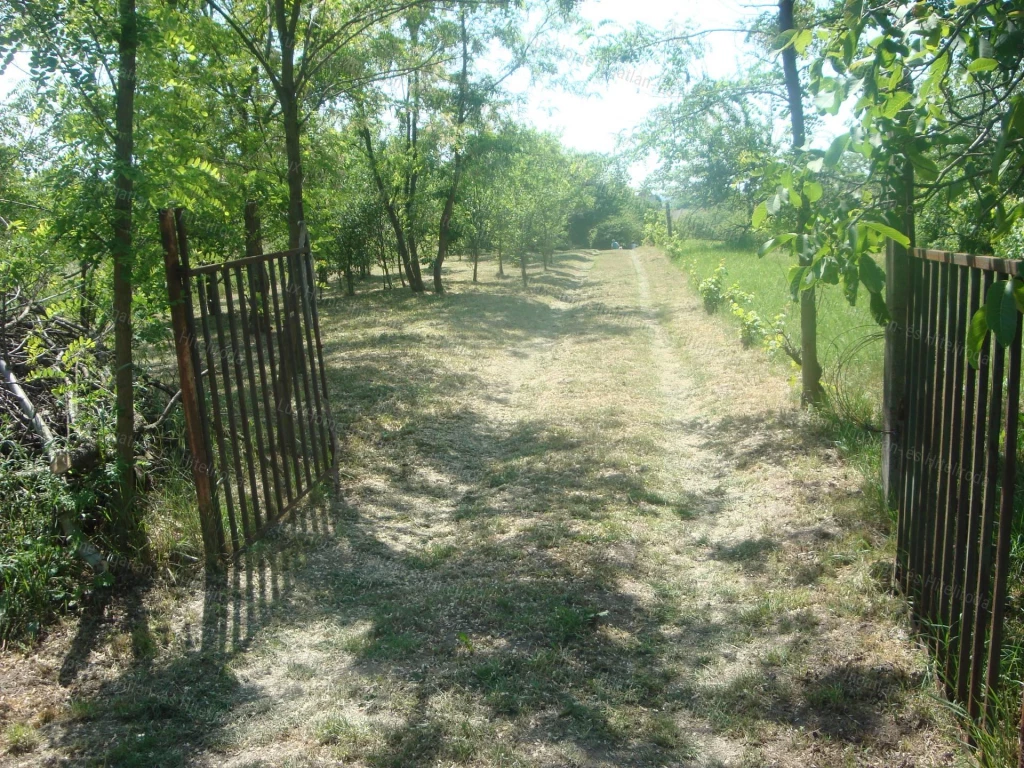 For sale building plot, Szomód
