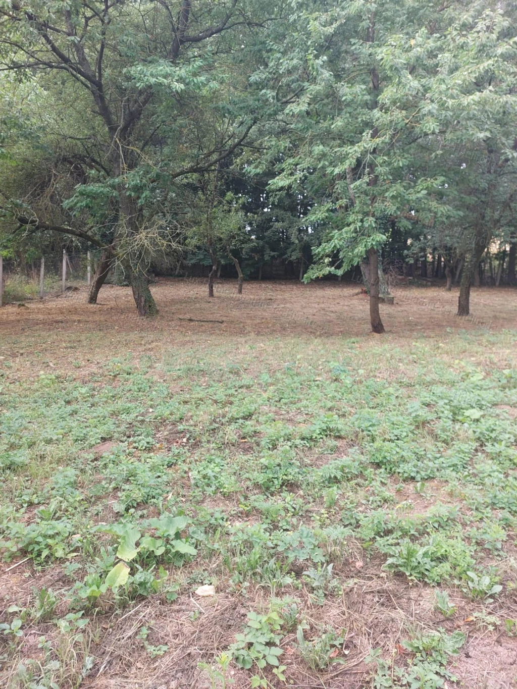 Eladó 1810 nm-es építési telek Óbarok - Nagyegyházán