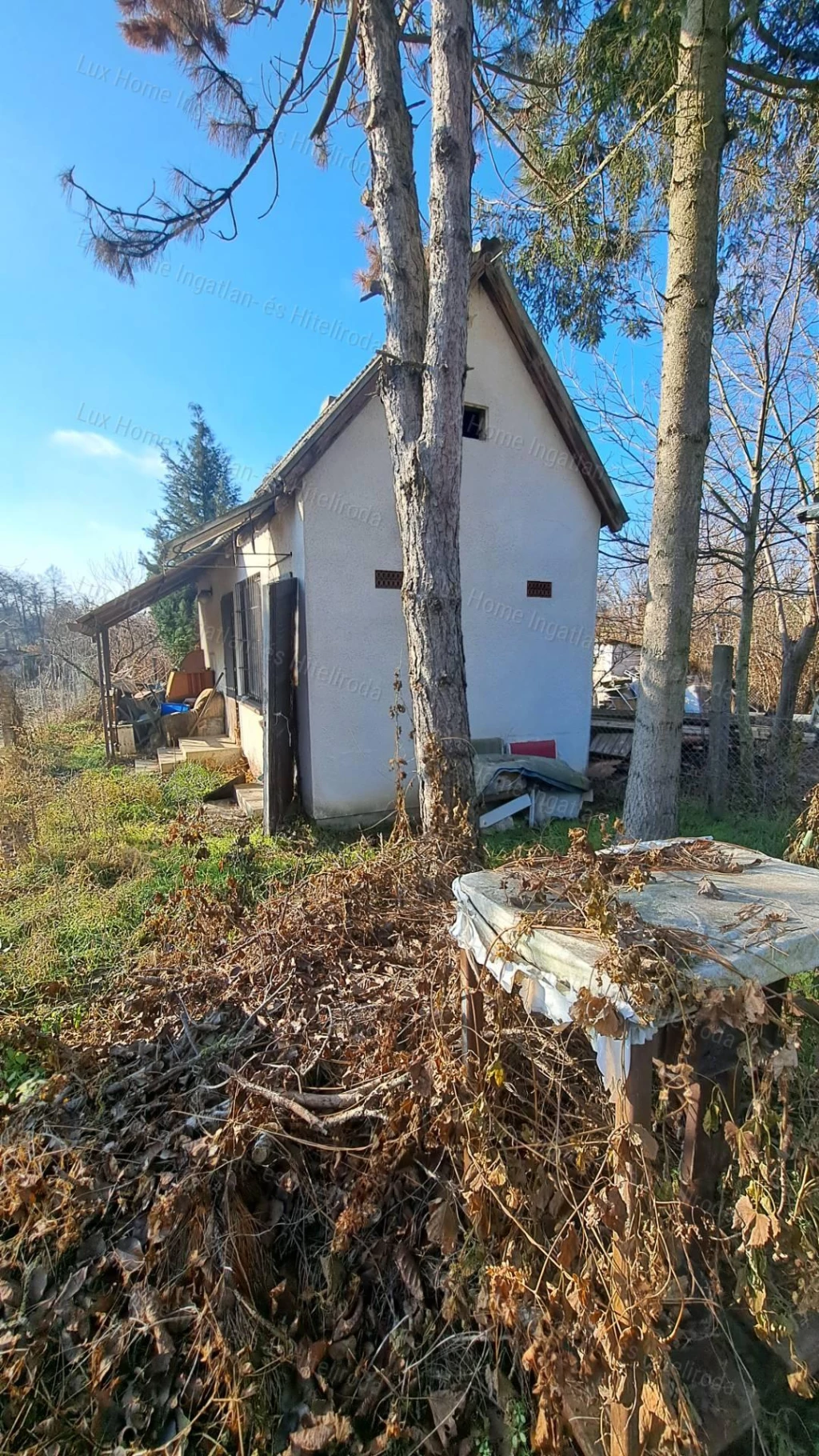 Eladó 934 m²-es kert 20 m²-es házzal Oroszlány, Svandovszki-dűlőben!