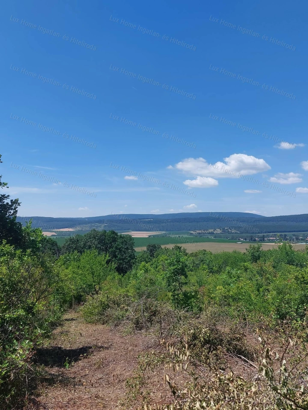 For sale closed garden, Héreg