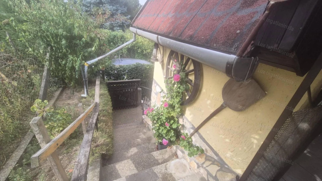 Környe- Homokdűlő eladó szőlőbirtok