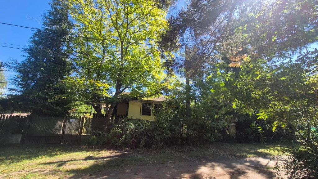 Oroszlányon eladó zártkert dupla telekkel