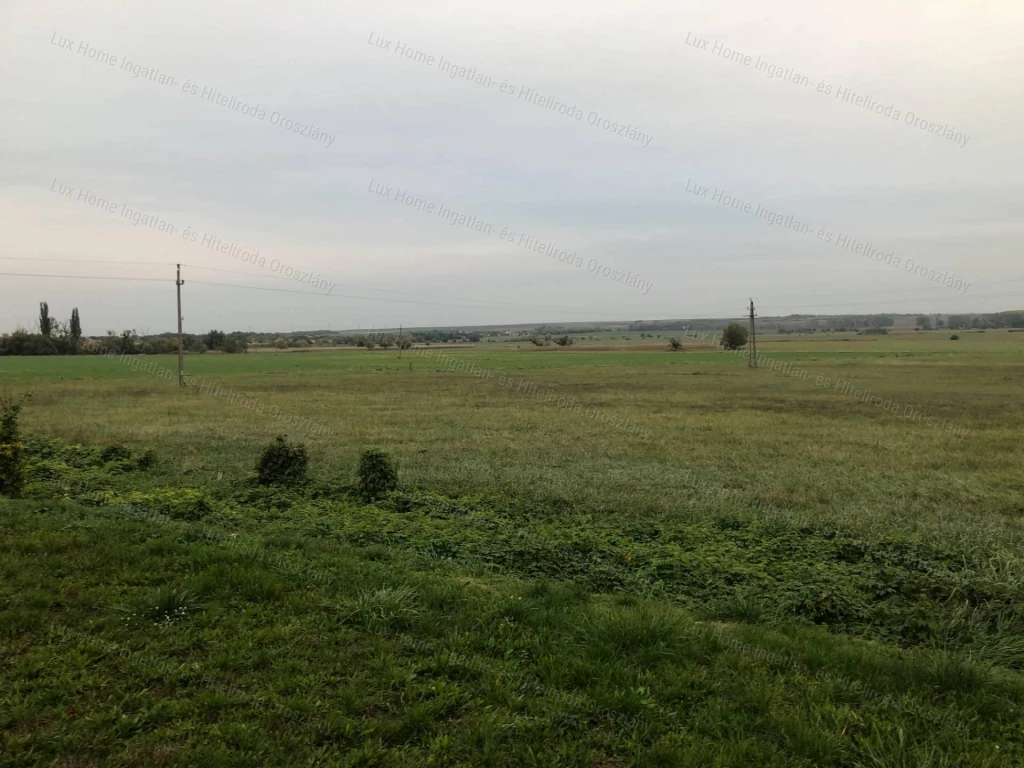 For sale other agricultural, Csákvár