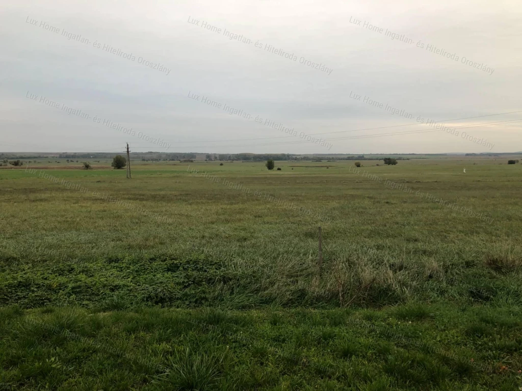 For sale other agricultural, Csákvár