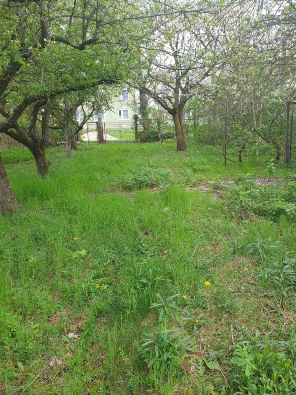 Zártkert Tatabányán