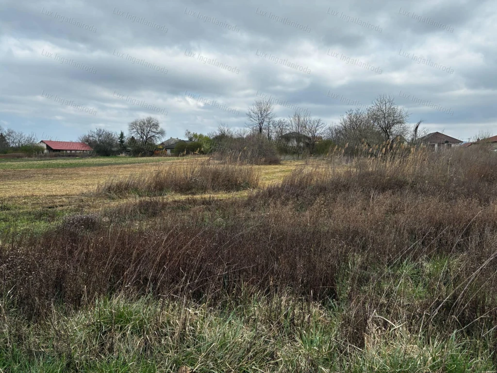 Eladó építési telek- Tata, Levendulakert!