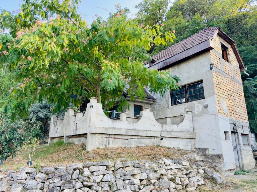 DUNAI PANORÁMÁS HÁZ DUNAALMÁSON ÓRIÁSI LEHETŐSÉGGEL