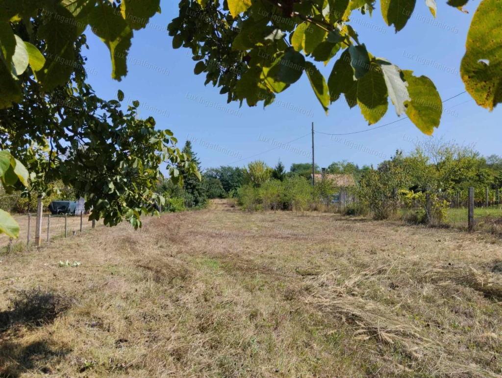 Eladó telek Környén Homokhegy dűlőben .