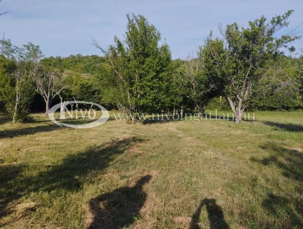 Eladó föld, Balatonkenese