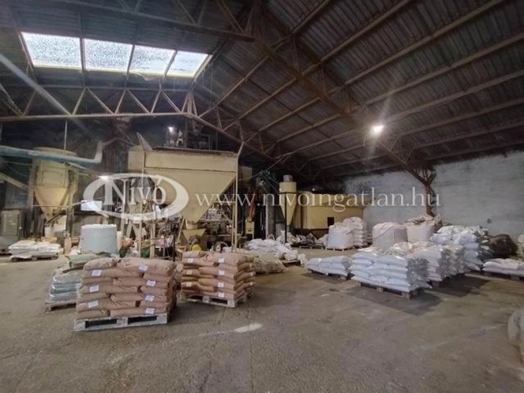 Kiadó raktár, Ajka