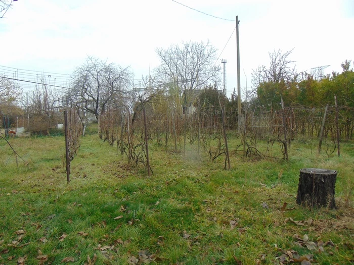 Eladó külterületi telek, Győr