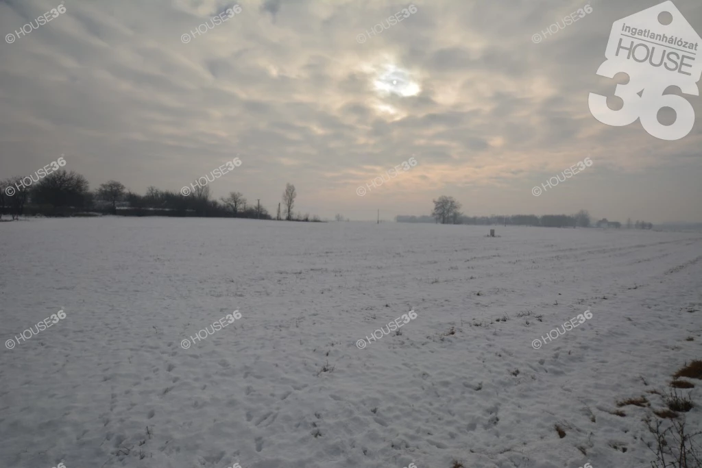 For sale plough-land, pasture, Kerekegyháza, Kunpuszta