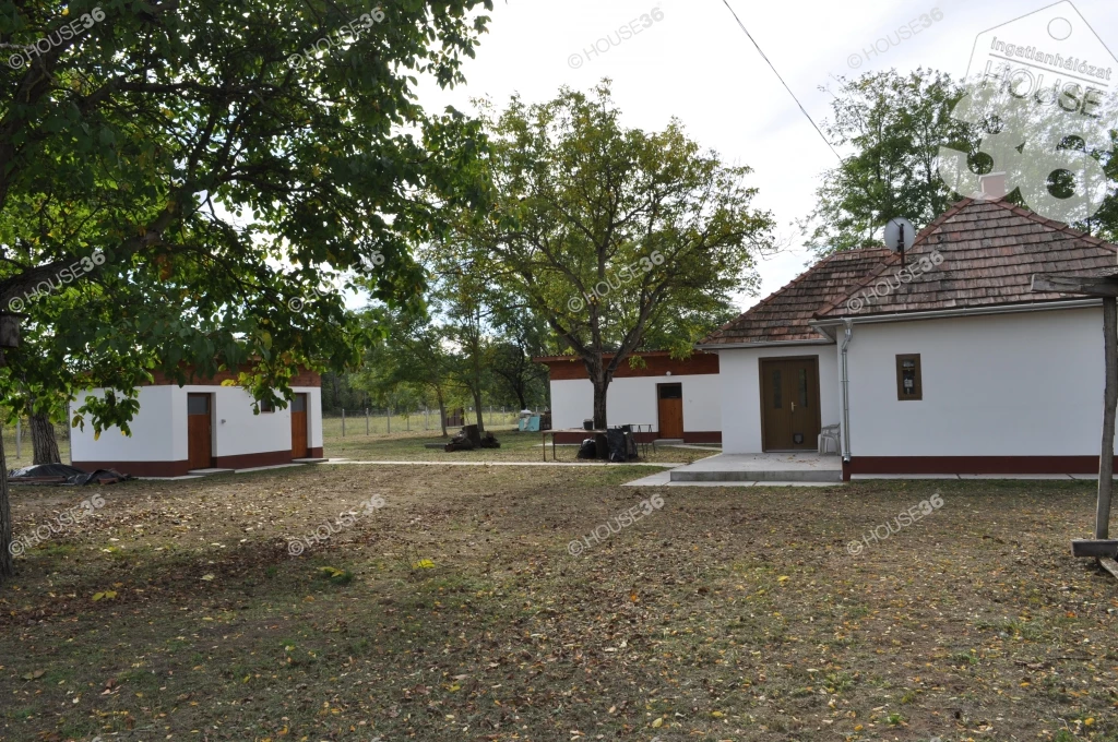 For sale plough-land, pasture, Kerekegyháza