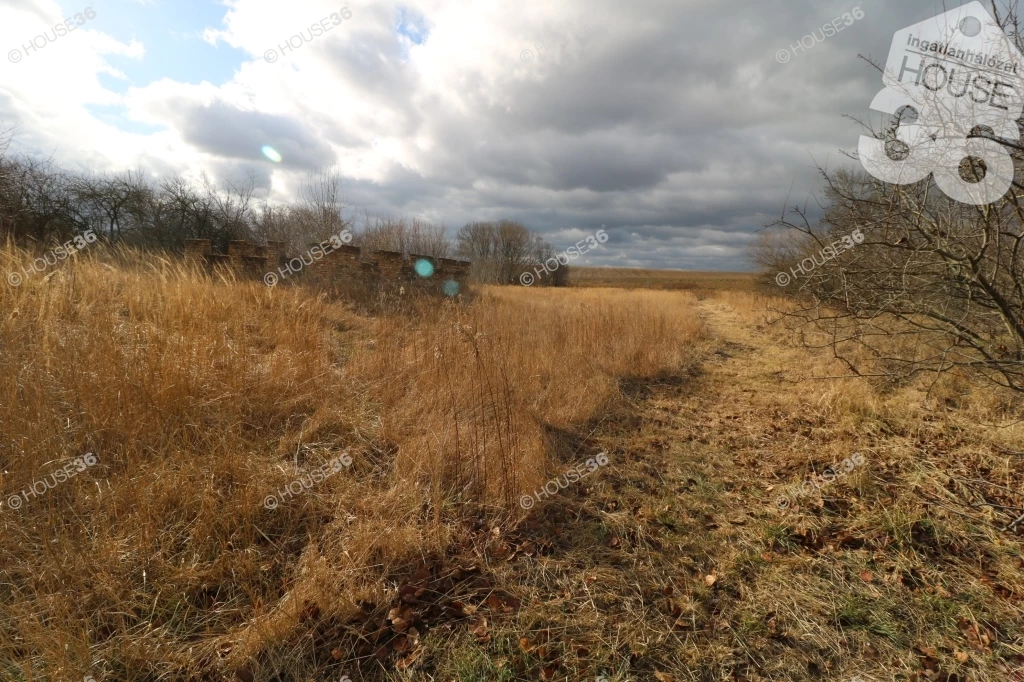 For sale periphery plot, Nagyvenyim