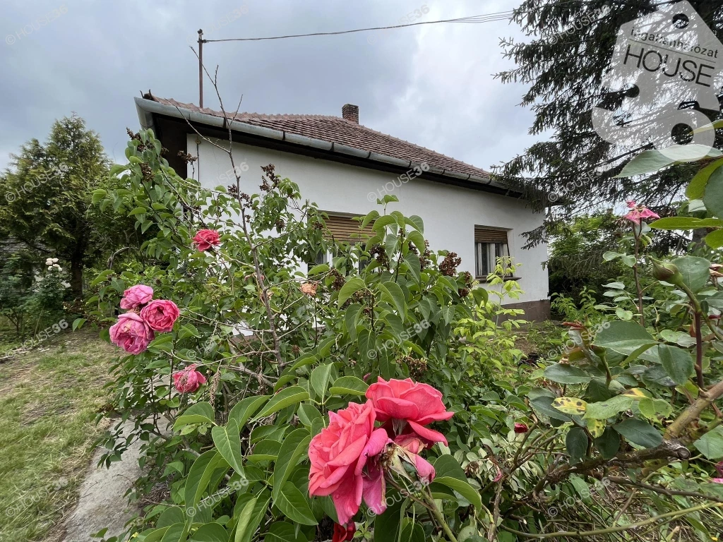 For sale house, Lakitelek