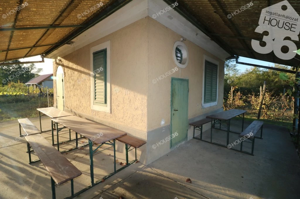 For sale orchard, Dunapataj