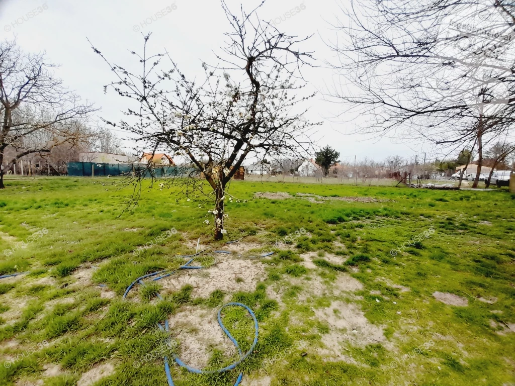 For sale periphery plot, Kecskemét