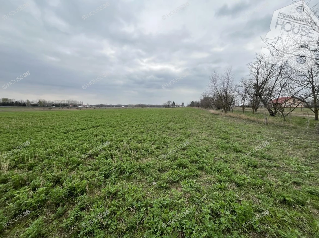 For sale plough-land, pasture, Kecskemét, Törekvés lakótelep