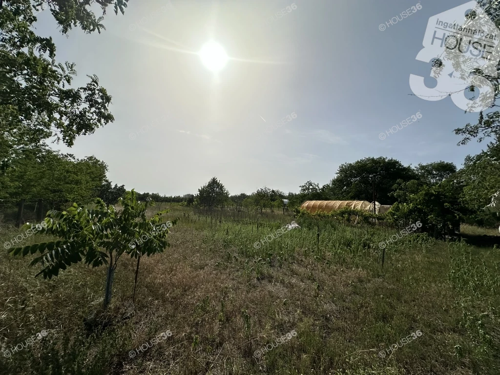 For sale periphery plot, Bugac