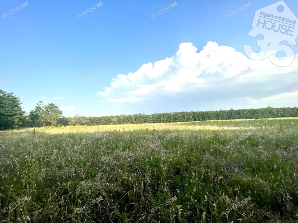 For sale plough-land, pasture, Lajosmizse