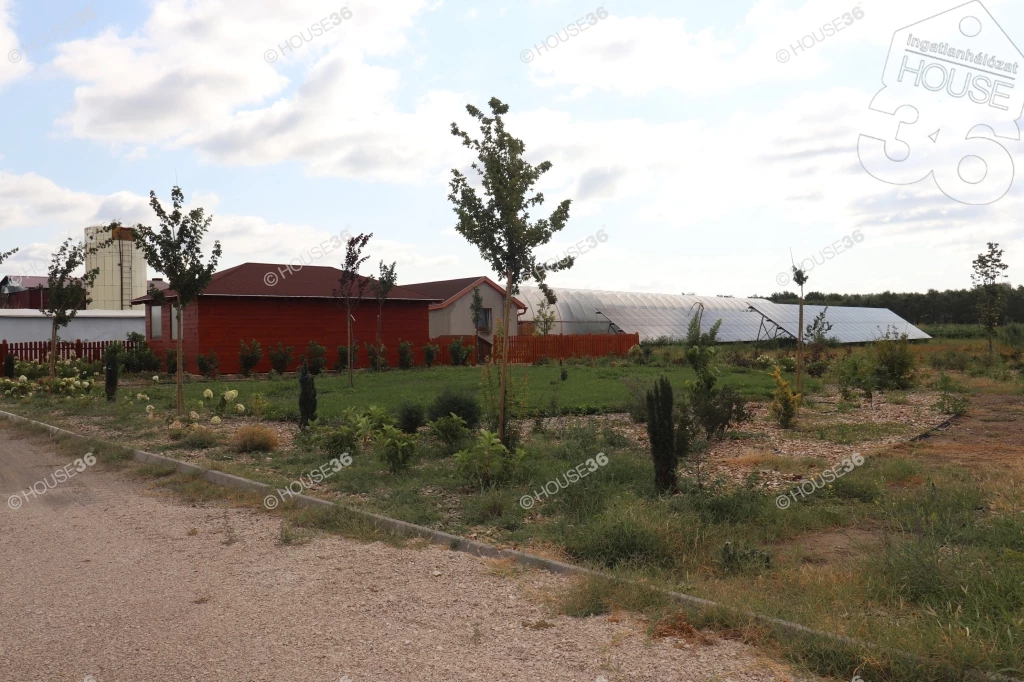 For sale plough-land, pasture, Kecskemét