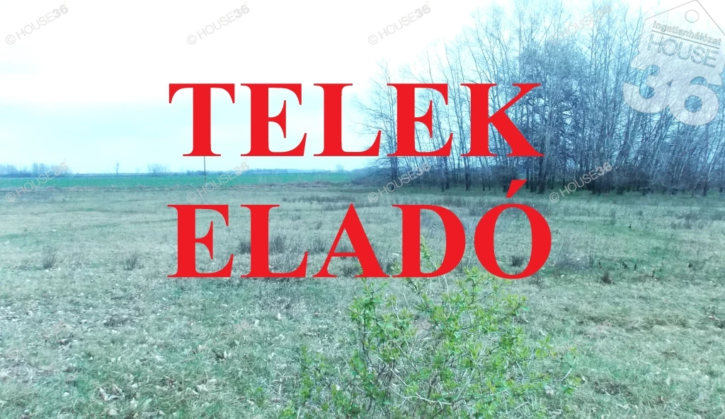 Kecskeméten főút mellett külterületi telek eladó