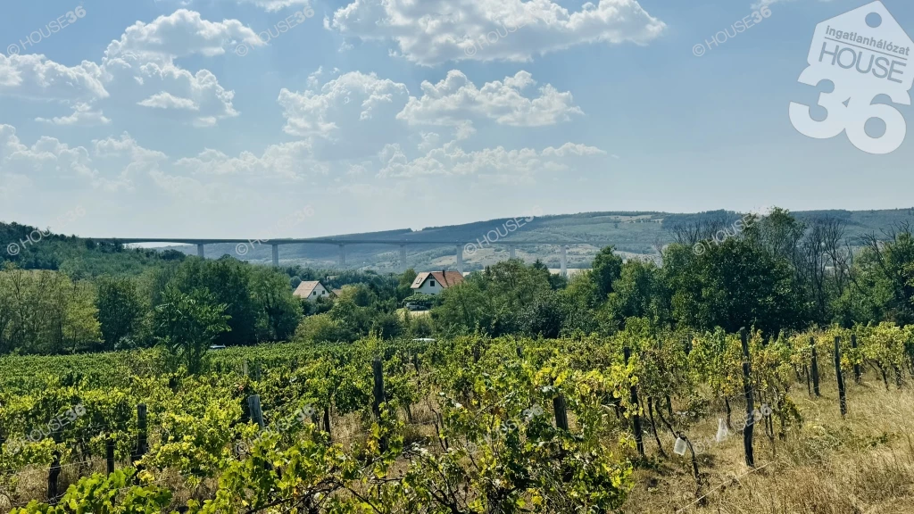 Balatonboglári borvidéken,  a Borochegyen mesés környezetben termő szőlős, borospincével eladó!