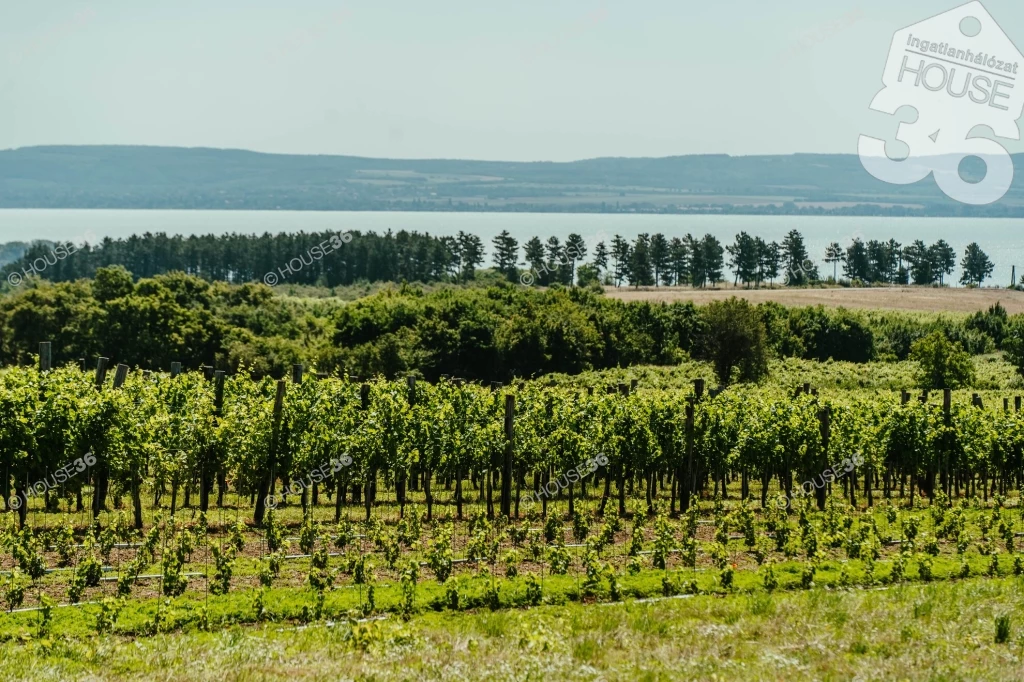 For sale orchard, Kőröshegy, Boronchegy