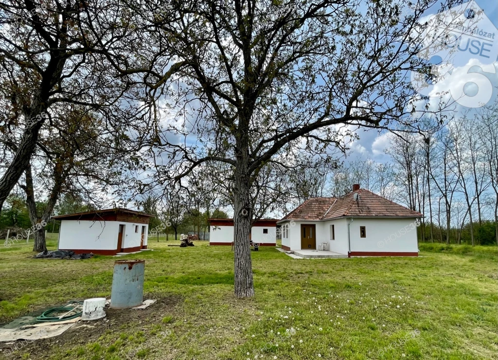 For sale plough-land, pasture, Kecskemét