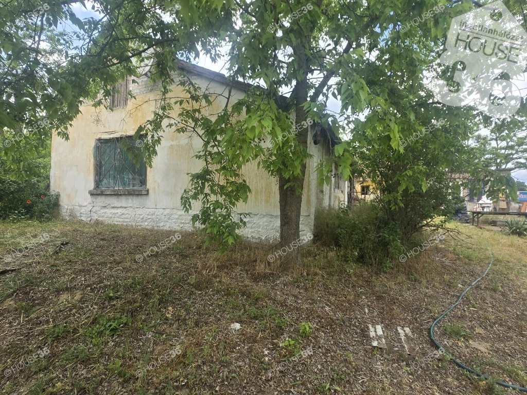 *ÁRZUHANÁS* Eladó tanya Kecskeméttől pár percre!