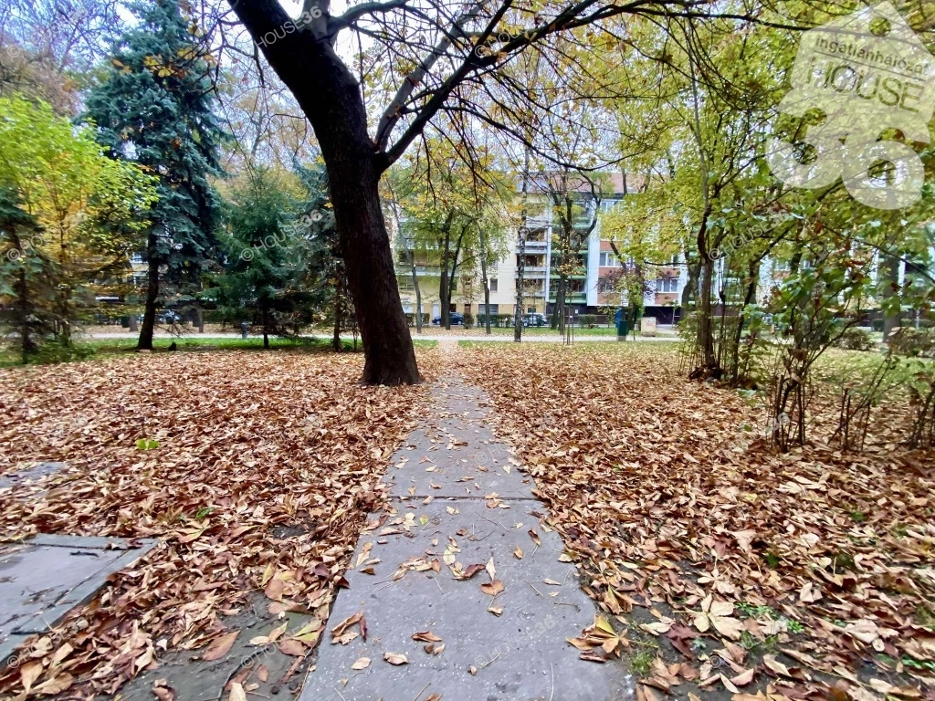 Kecskemét Belvárosában a GYENES TÉREN, nappali + 1 szobás lakás eladó!