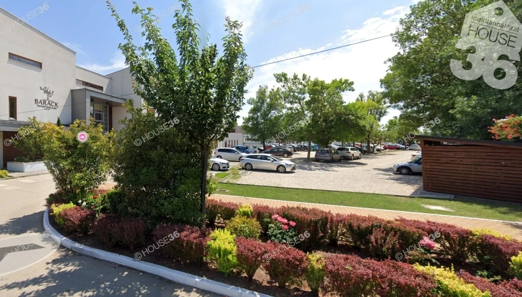 Tiszakécskén a Barack Hotel közelében 8 szobás üdülőház ELADÓ !