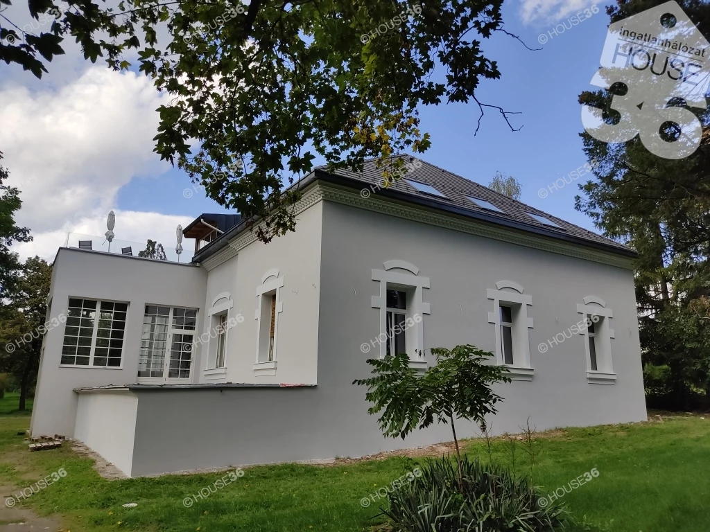 For sale mansion, Paks