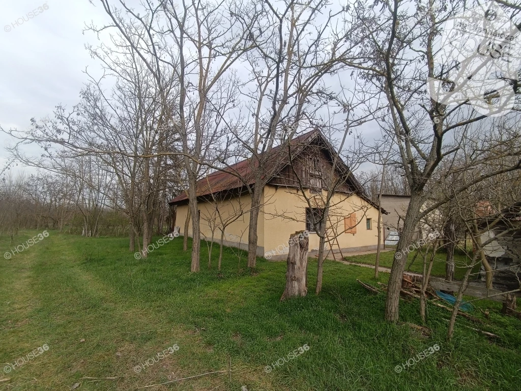 Ébredjen madárcsicsergésre!