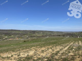 Egyedülálló panorámás telek a bor hazájában, Szekszárdon!