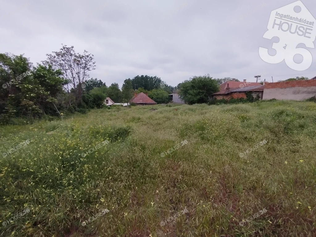 Tiszaalpáron Építési telek eladó!