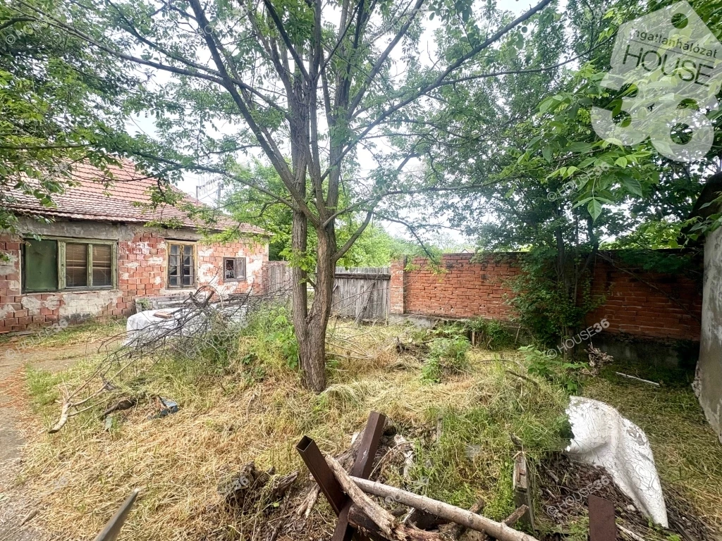 For sale house, Tiszaalpár